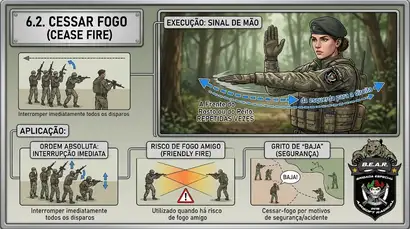 Cessar Fogo (Cease Fire)